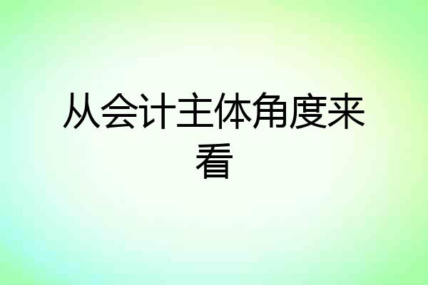 从会计主体角度来看