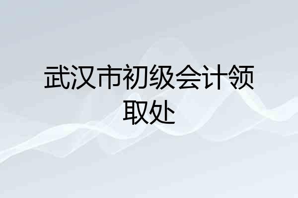 武汉市初级会计领取处