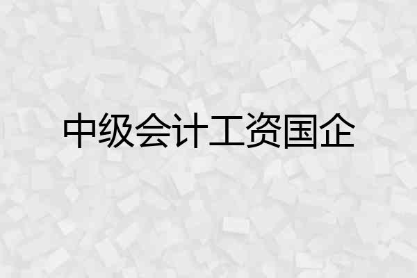 中级会计工资国企
