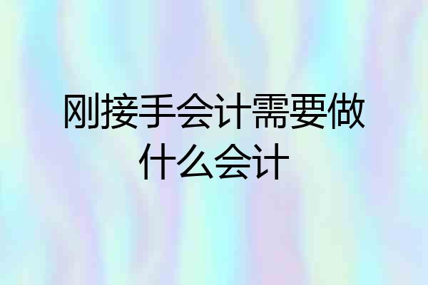 刚接手会计需要做什么会计