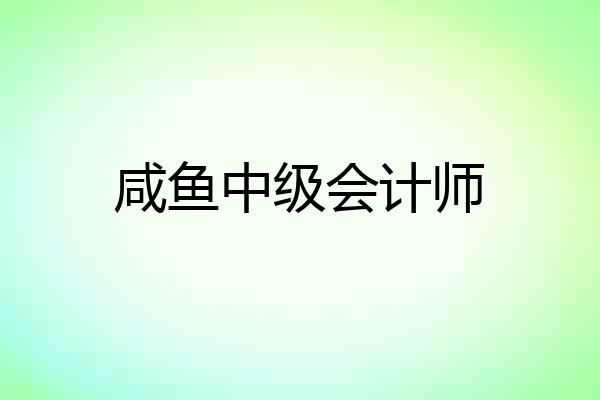 咸鱼中级会计师