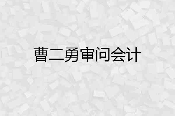 曹二勇审问会计