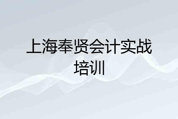 上海奉贤会计实战培训