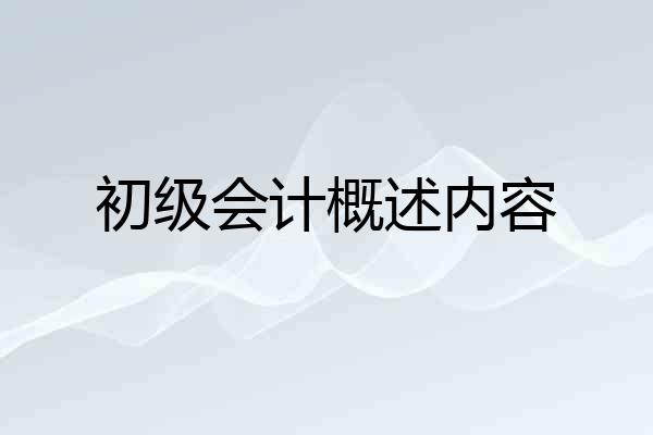 初级会计概述内容