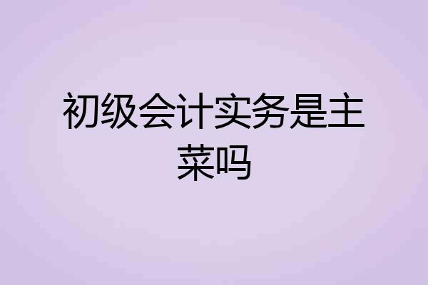 初级会计实务是主菜吗