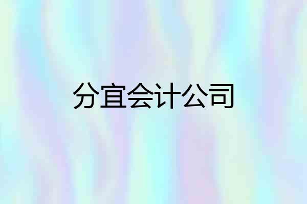 分宜会计公司
