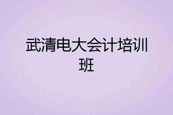 武清电大会计培训班