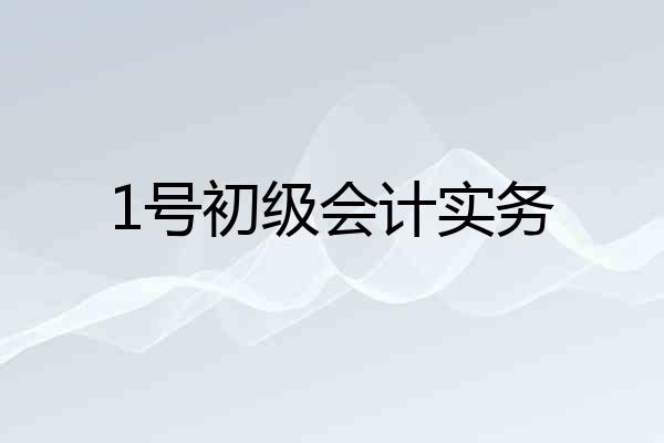 1号初级会计实务