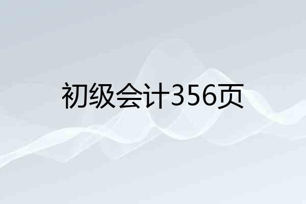 初级会计356页