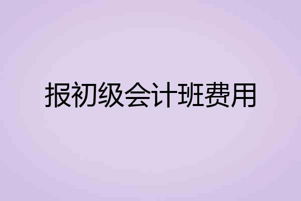 报初级会计班费用