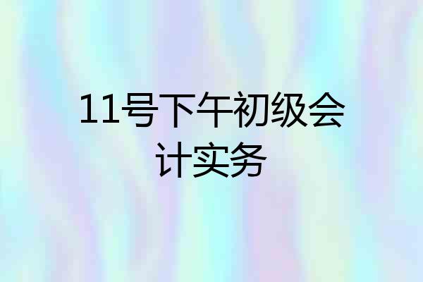 11号下午初级会计实务