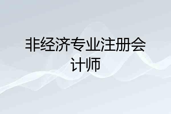 非经济专业注册会计师