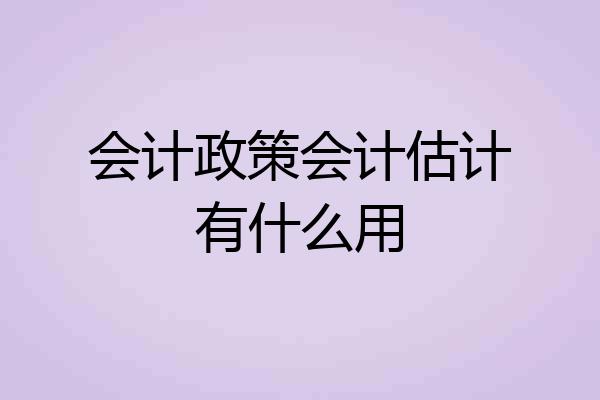 会计政策会计估计有什么用