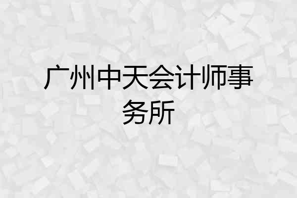 广州中天会计师事务所