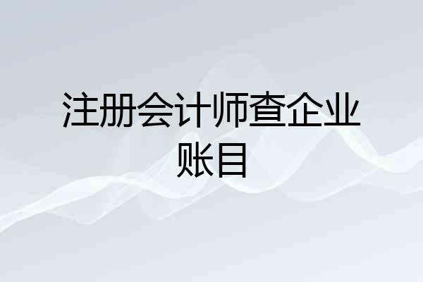 注册会计师查企业账目