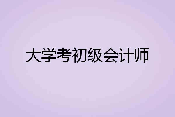 大学考初级会计师