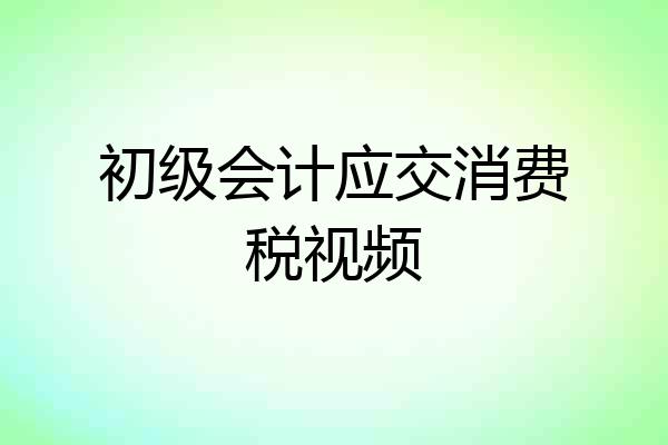 初级会计应交消费税视频