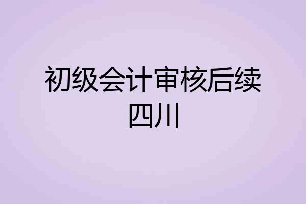 初级会计审核后续四川