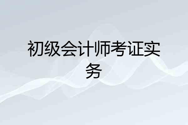 初级会计师考证实务