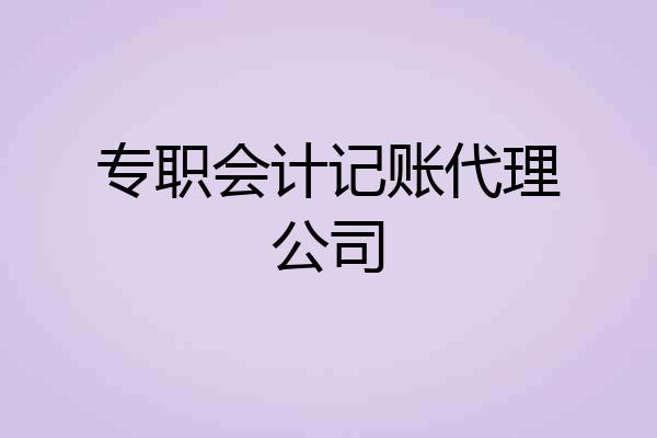 专职会计记账代理公司