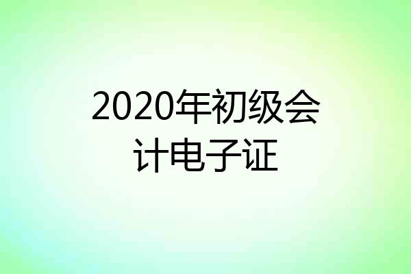 2020年初级会计电子证