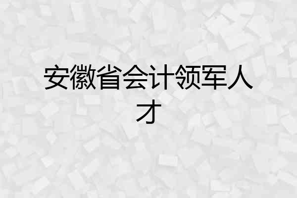 安徽省会计领军人才