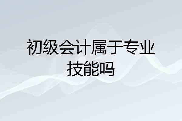 初级会计属于专业技能吗