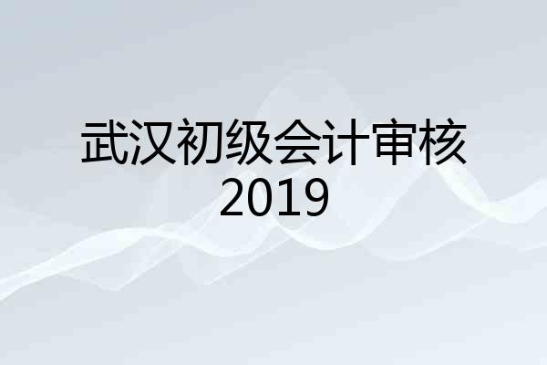 武汉初级会计审核2019