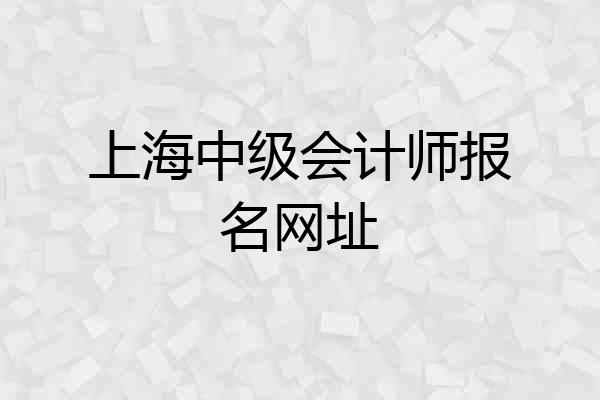 上海中级会计师报名网址