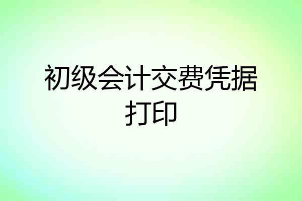 初级会计交费凭据打印
