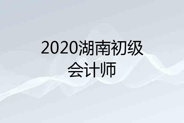2020湖南初级会计师