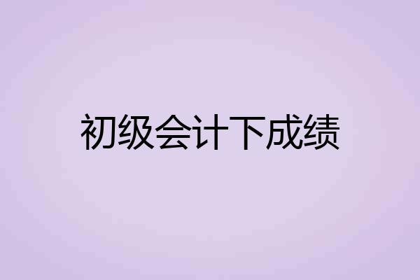 初级会计下成绩