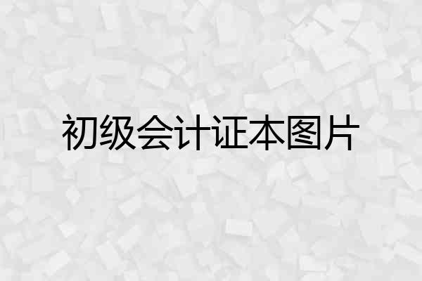 初级会计证本图片