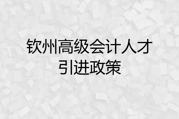 钦州高级会计人才引进政策