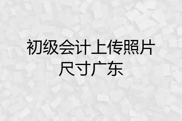 初级会计上传照片尺寸广东