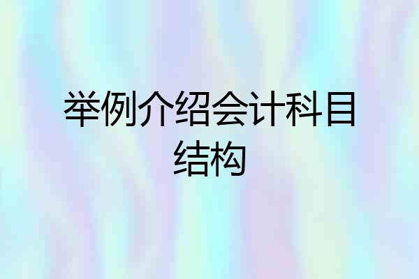 举例介绍会计科目结构