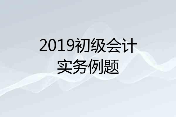 2019初级会计实务例题
