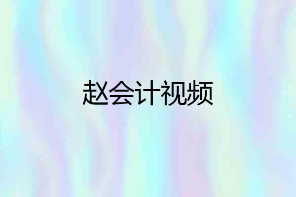 赵会计视频