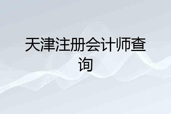 天津注册会计师查询