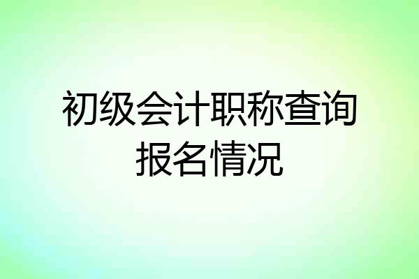 初级会计职称查询报名情况