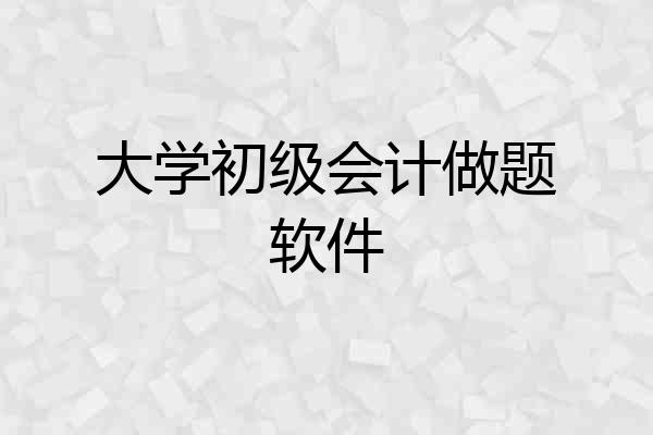 大学初级会计做题软件