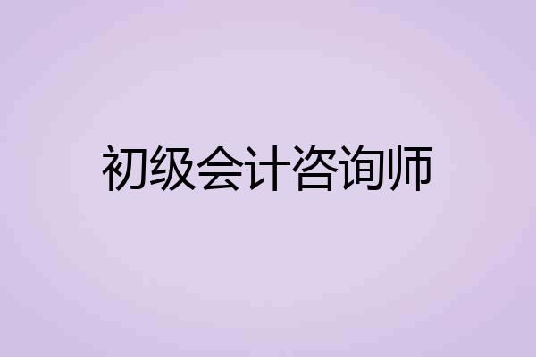 初级会计咨询师