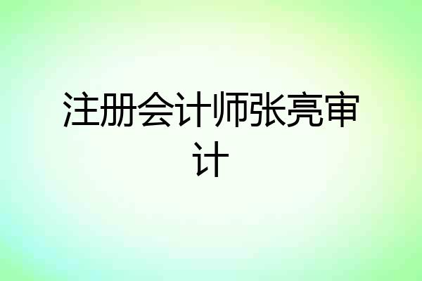 注册会计师张亮审计