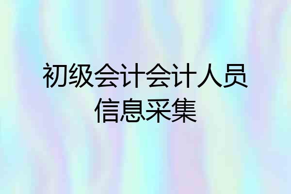 初级会计会计人员信息采集