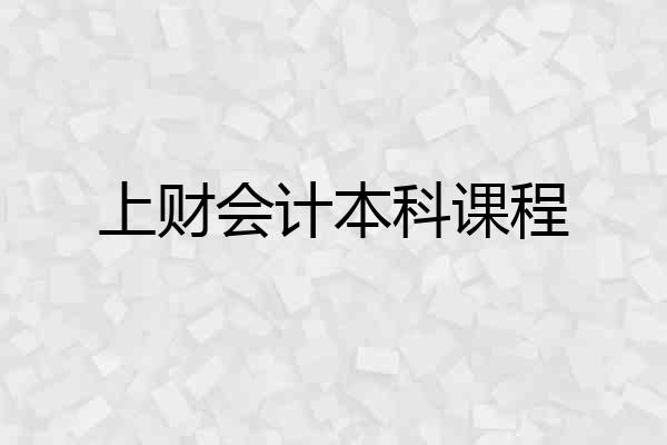 上财会计本科课程