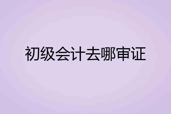 初级会计去哪审证