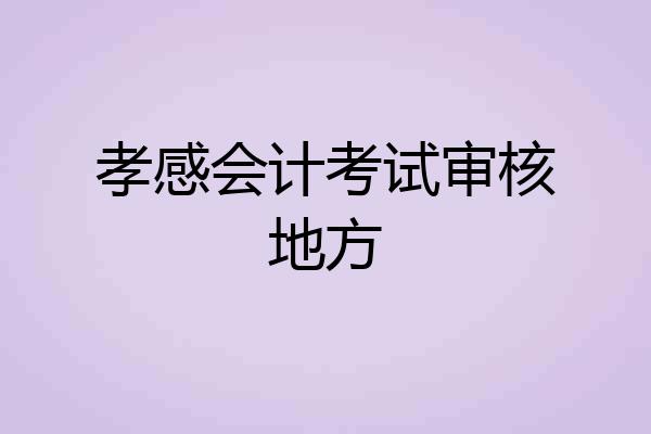 孝感会计考试审核地方