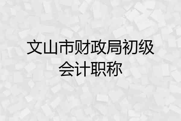 文山市财政局初级会计职称