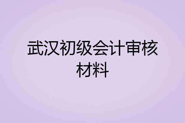武汉初级会计审核材料
