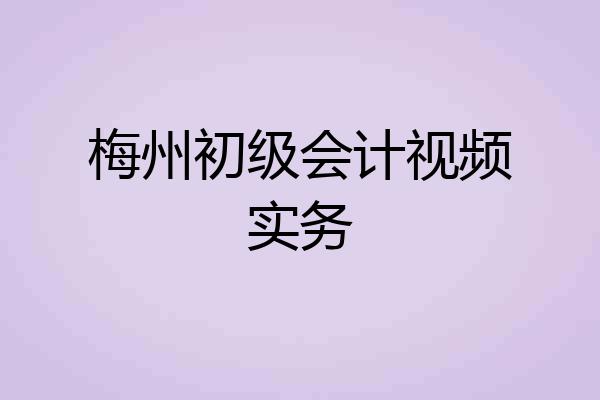 梅州初级会计视频实务